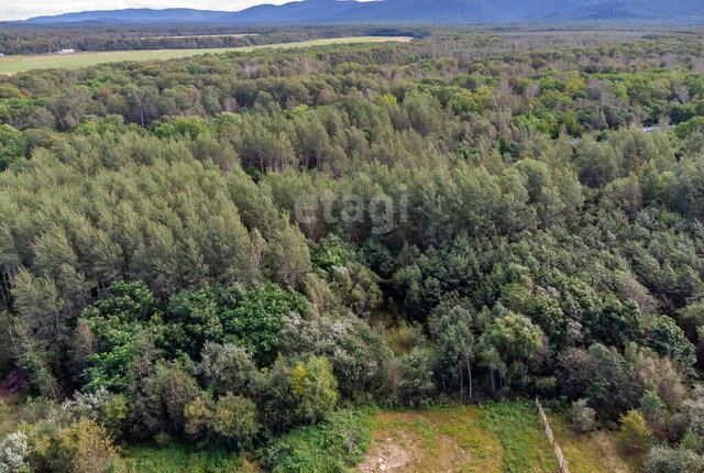 пер Кедровый микрорайон Красная Речка фото