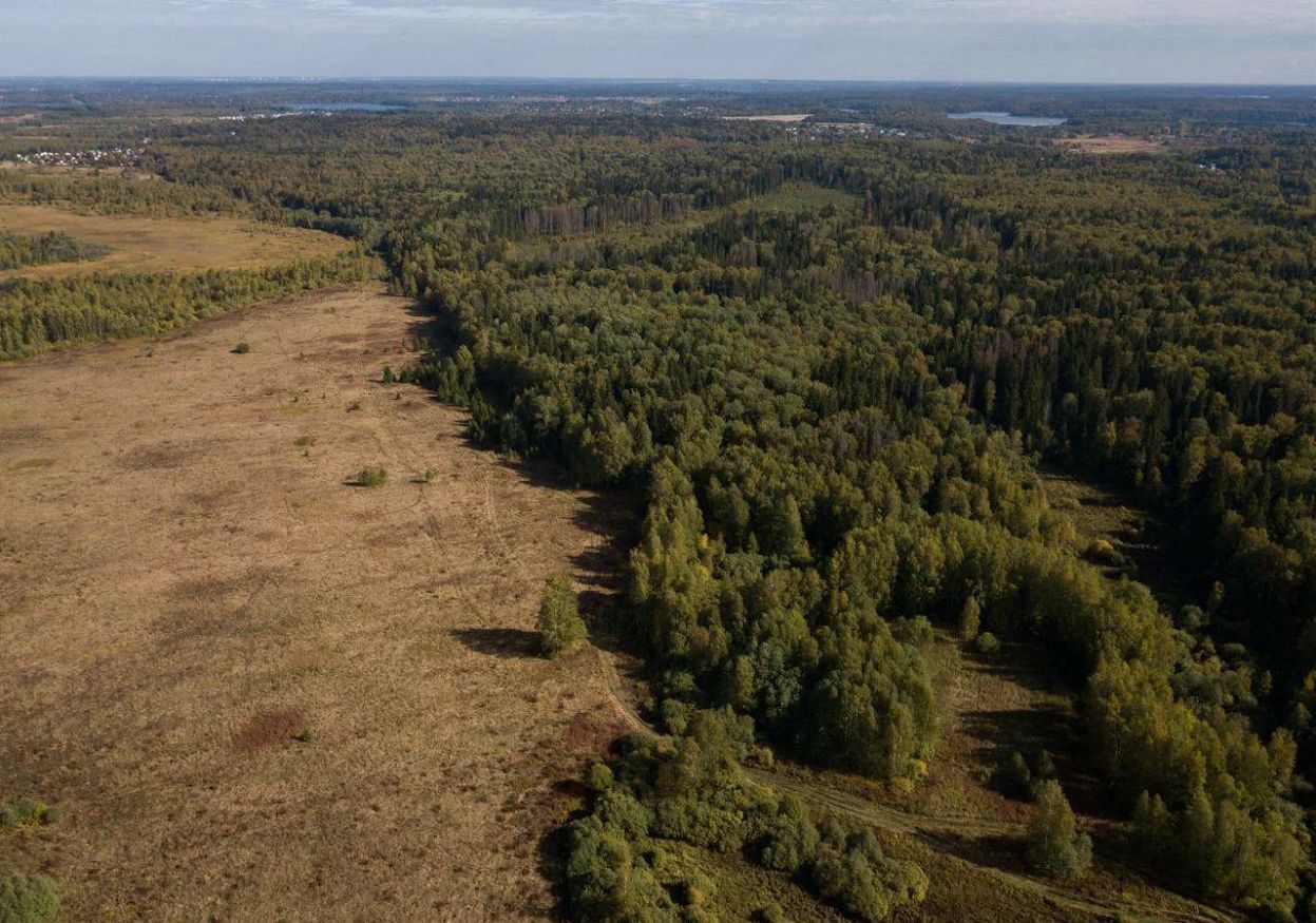 земля городской округ Истра д Лечищево 9766 км, Истра, Пятницкое шоссе фото 10