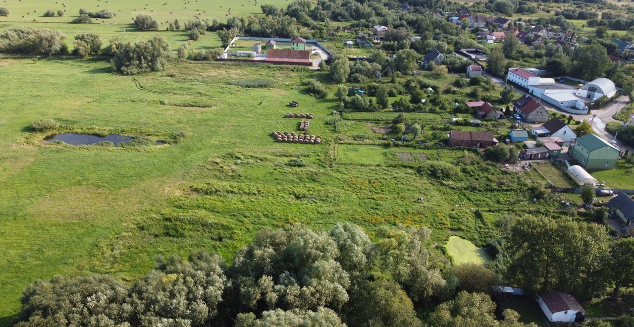 земля р-н Гурьевский п Каширское Зеленоградск фото 7