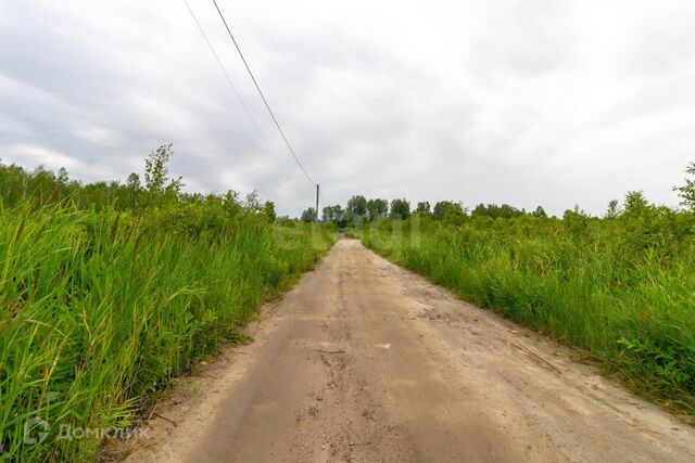 городской округ Тюмень, 11-я улица фото