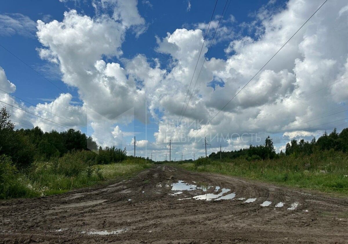 земля р-н Тюменский рп Винзили фото 2