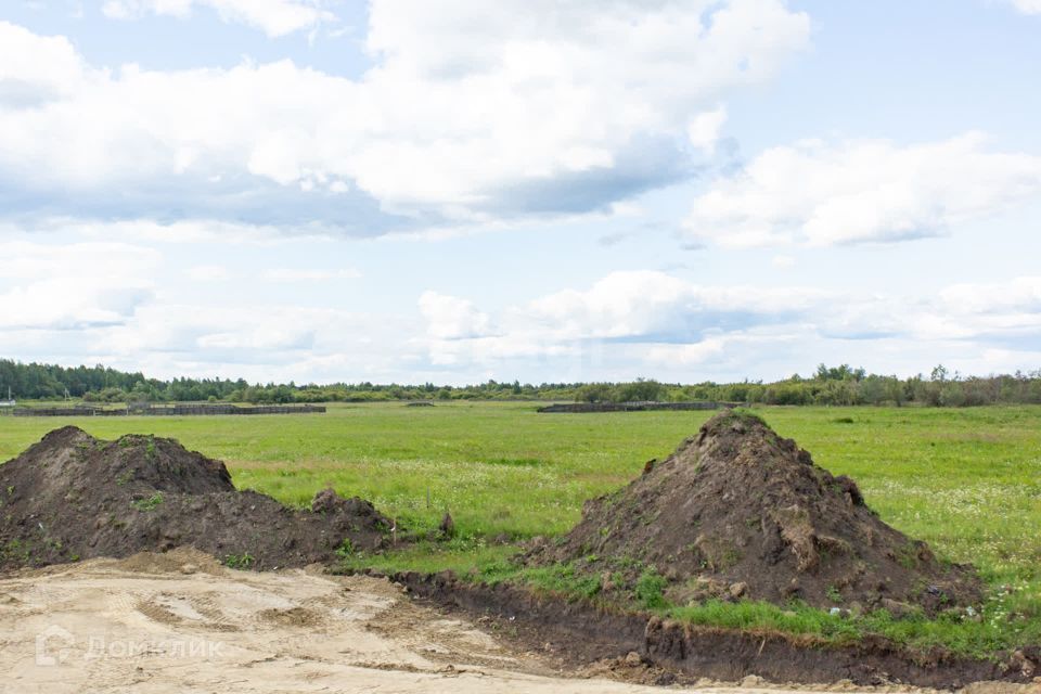 земля р-н Тобольский село Бизино фото 6