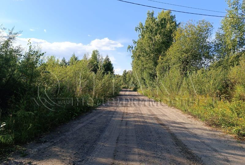 земля р-н Лодейнопольский д Рахковичи Трасса Лодейное поле — Вытегра, Янегское сельское поселение, Лодейное Поле фото 12