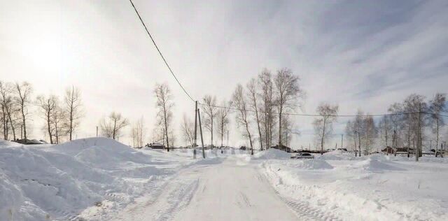 ул Александрийская Малошильнинское с/пос фото