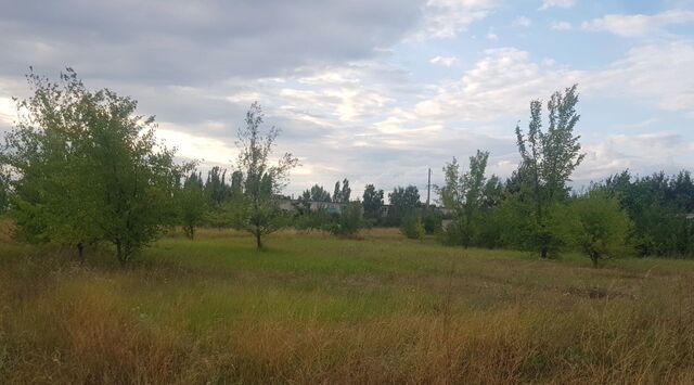 ул Дружбы Новохоперск городское поселение фото