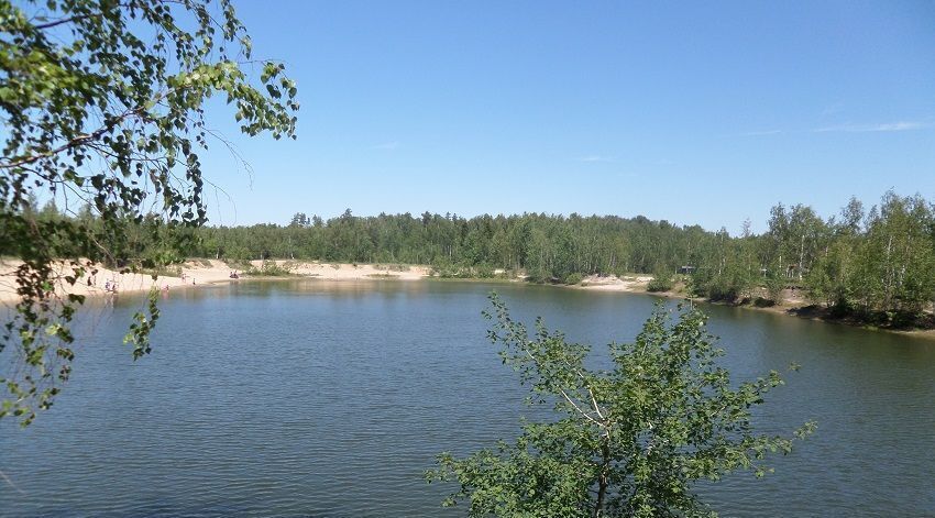 дом городской округ Павловский Посад д Дальняя снт Калинка 189 фото 13