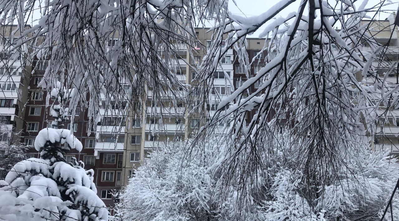 квартира г Санкт-Петербург метро Политехническая пр-кт Тихорецкий 25к/2 фото 31