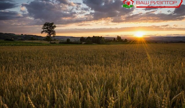 земля железнодорожная станция Паницкая фото