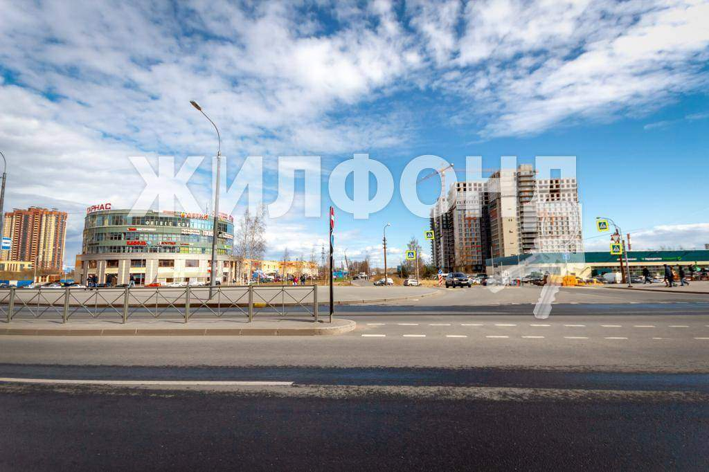 квартира г Санкт-Петербург п Парголово метро Парнас р-н Выборгский пр-кт Энгельса 164 фото 18