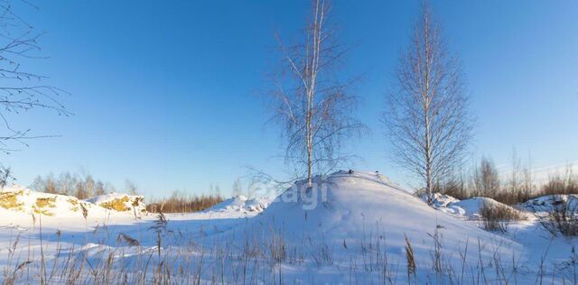 р-н Центральный снт Березняки фото