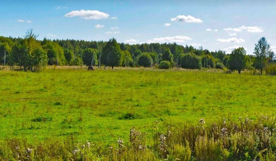 земля городской округ Дмитровский коттеджный поселок «Сорочаны» городской округ Клин фото 9