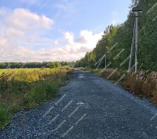 городской округ Ревда, улица Шумиха фото