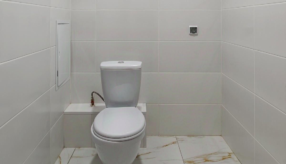 квартира г Воронеж р-н Центральный ул Шишкова 140б/16 фото 8