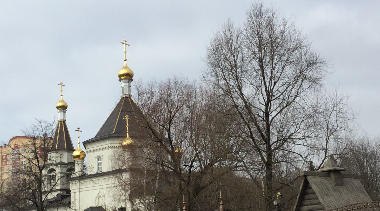 квартира городской округ Ленинский п Совхоз им Ленина Домодедовская, 21 фото 6