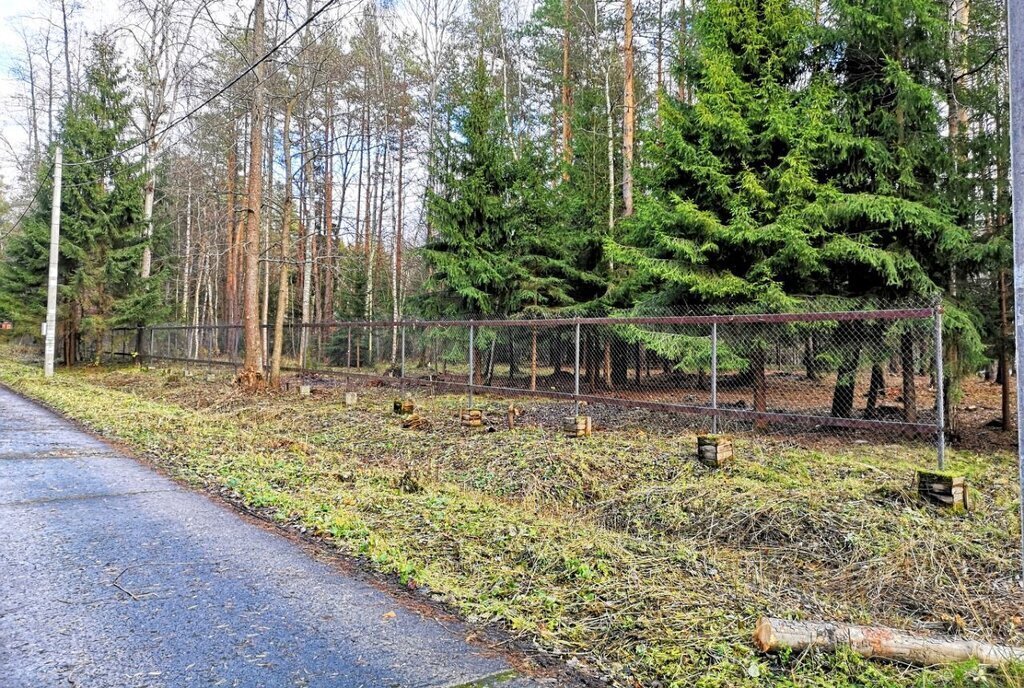 земля городской округ Раменский п Гжелка Раменское, территория Самар-1, 428 фото 6