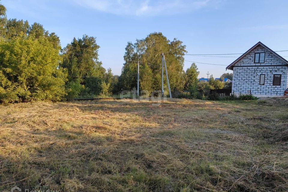 земля г Бердск городской округ Бердск, СНТ Марьин Лог фото 3