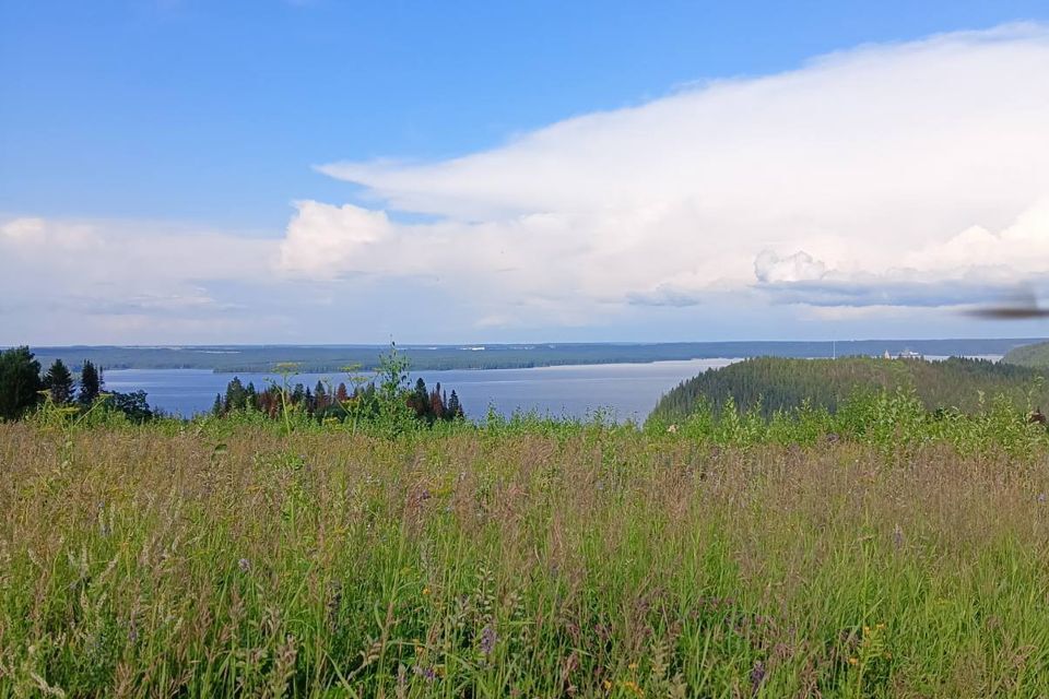 земля р-н Пермский село Хохловка фото 2