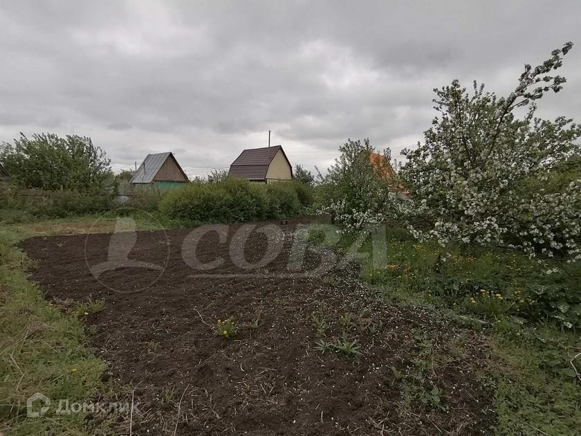 земля г Тюмень городской округ Тюмень, Садоводческое общество Яровское фото 4