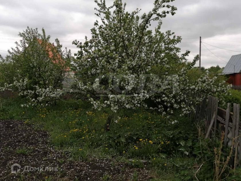 земля г Тюмень городской округ Тюмень, Садоводческое общество Яровское фото 5