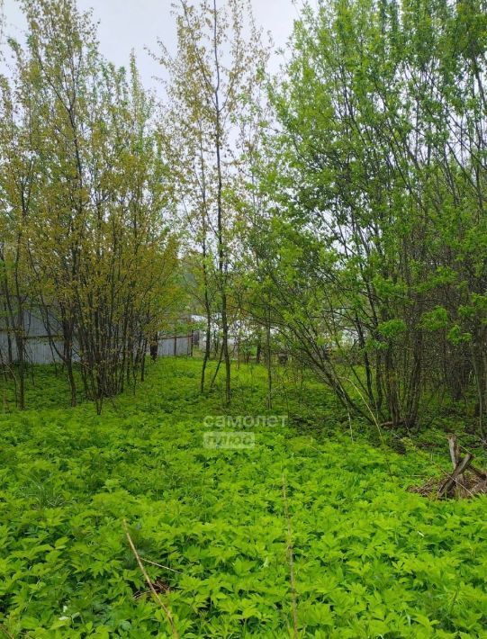 земля городской округ Серпухов д Райсеменовское Раменское, 11 фото 6