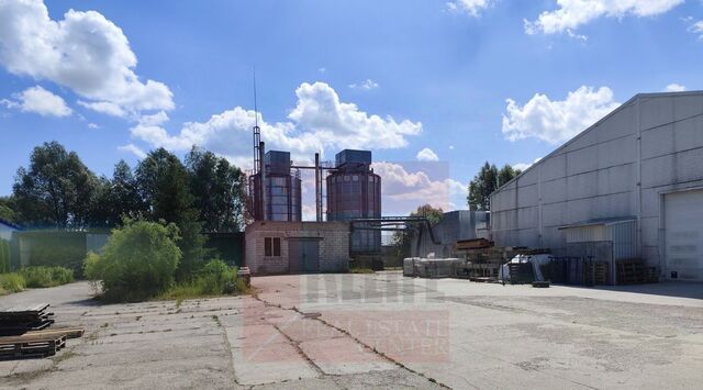 ул Дружная фото