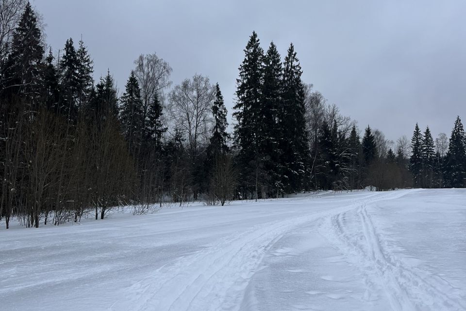 земля городской округ Истра квартал 0040154 фото 3