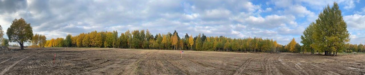 земля р-н Приозерский д Снегиревка Сосновское с/пос фото 4