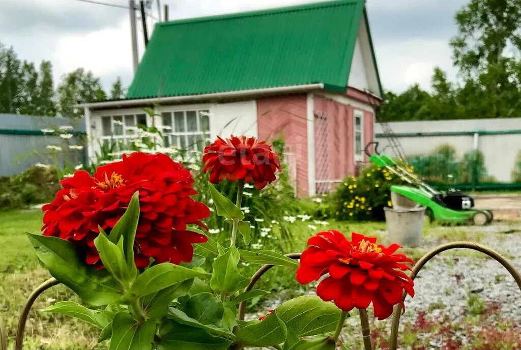 дом р-н Вяземский с Садовое некоммерческое товарищество Мелиоратор фото 7