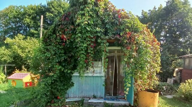 сад снт КоллективныйN 1 № 1 СНТ, Воскресенск городской округ фото