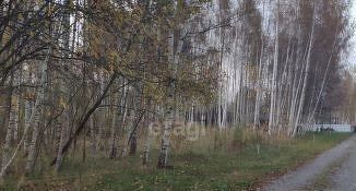 земля г Нижний Тагил р-н Тагилстроевский Новая Кушва фото 3