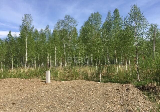 земля р-н Тагилстроевский фото