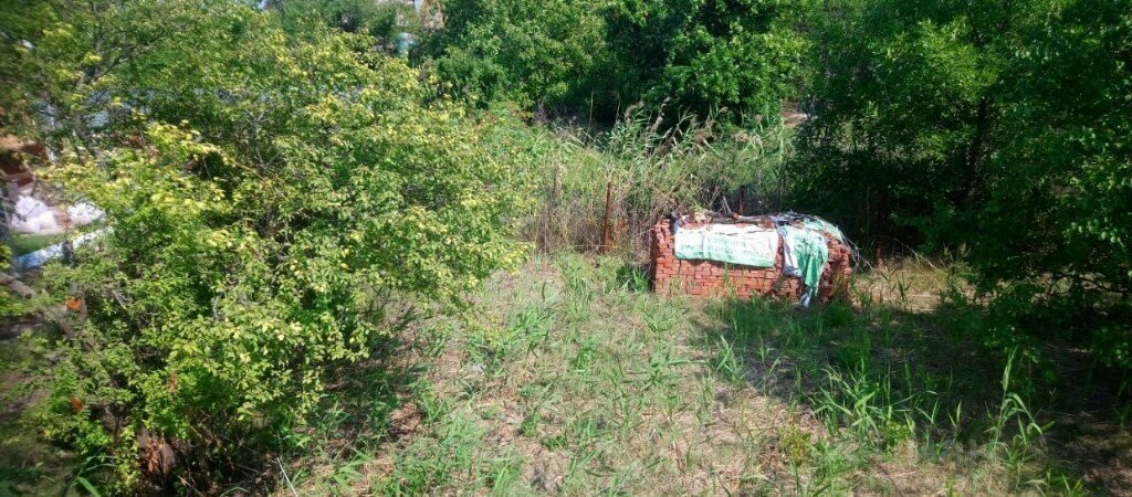 земля р-н Неклиновский х Мержаново снт Голубые ели Синявское сельское поселение фото 2