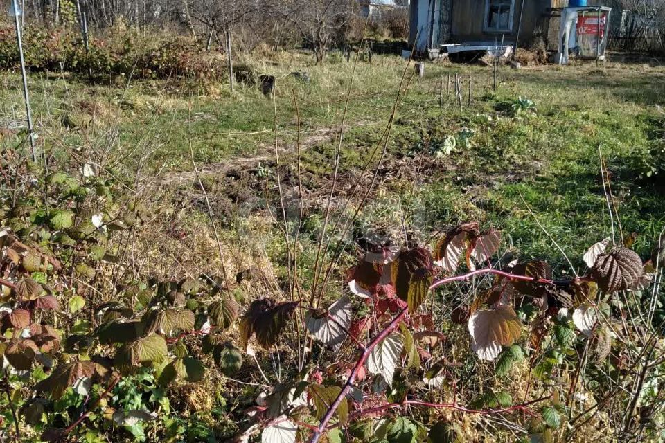 дом г Комсомольск-на-Амуре городской округ Комсомольск-на-Амуре, СДТ АО АСЗ КС 6 фото 10