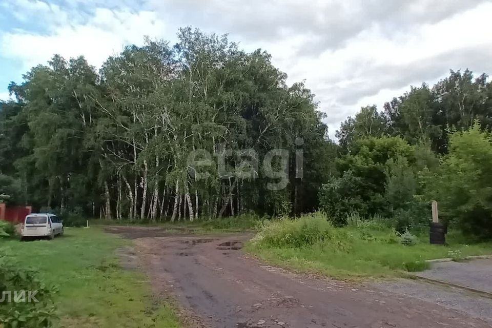 земля р-н Омский д Ракитинка ул 2-я Солнечная фото 10