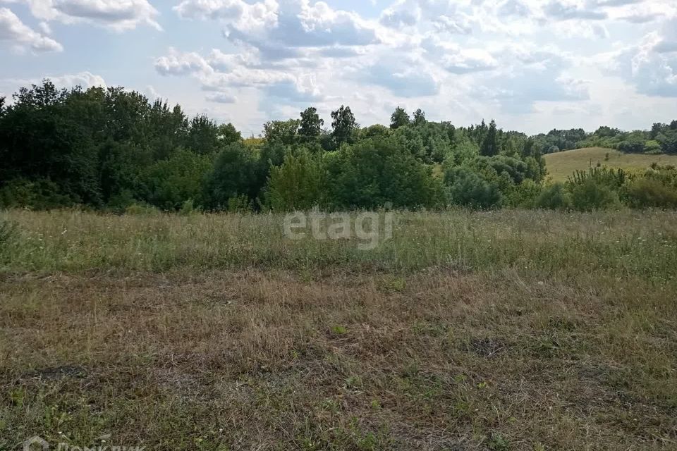 земля р-н Белгородский село Шагаровка фото 5