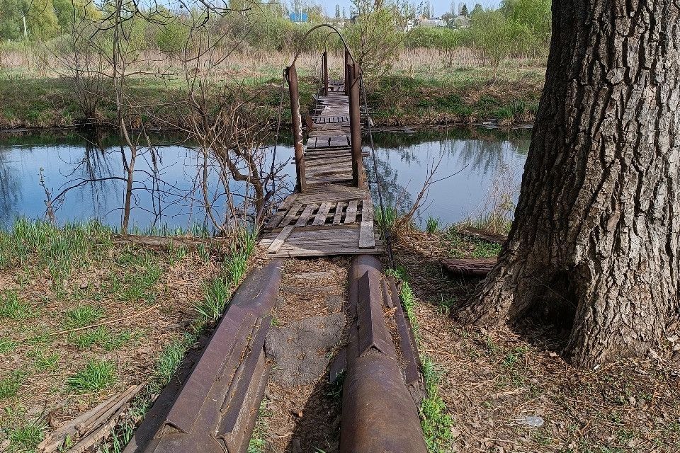 земля г Воронеж р-н Левобережный городской округ Воронеж, Левобережный фото 7