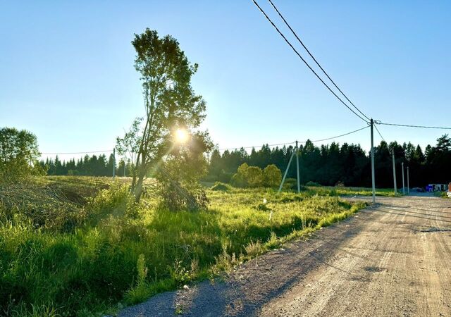 21 км, 41К-308, Лесколово, Ленинградское шоссе фото