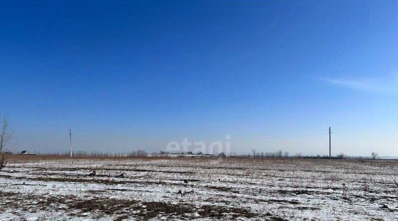 земля р-н Читинский снт Раздольное ДНТ, ул. Ковыльная фото 2