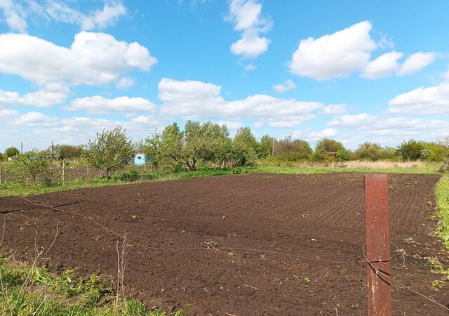 д Пашино снт Росинка Нижнемедведицкий сельсовет, Курск фото