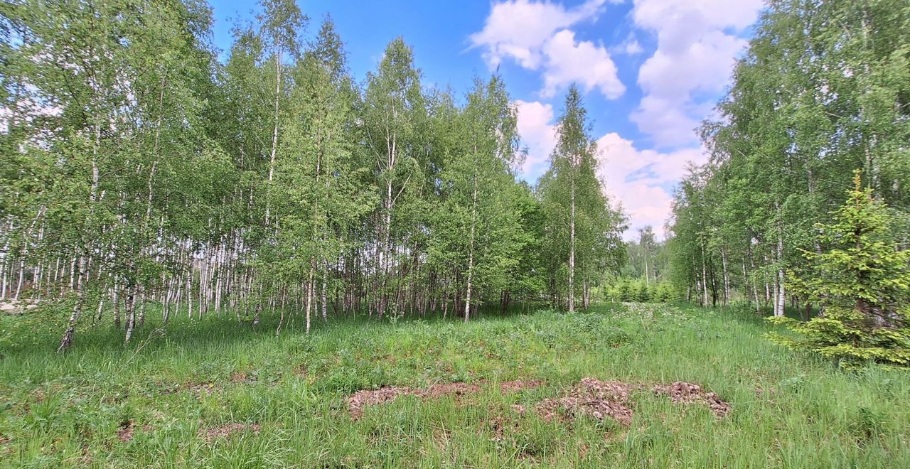 земля городской округ Чехов п Мещерское ул Покровское 9758 км, Троицкое, Симферопольское шоссе фото 2