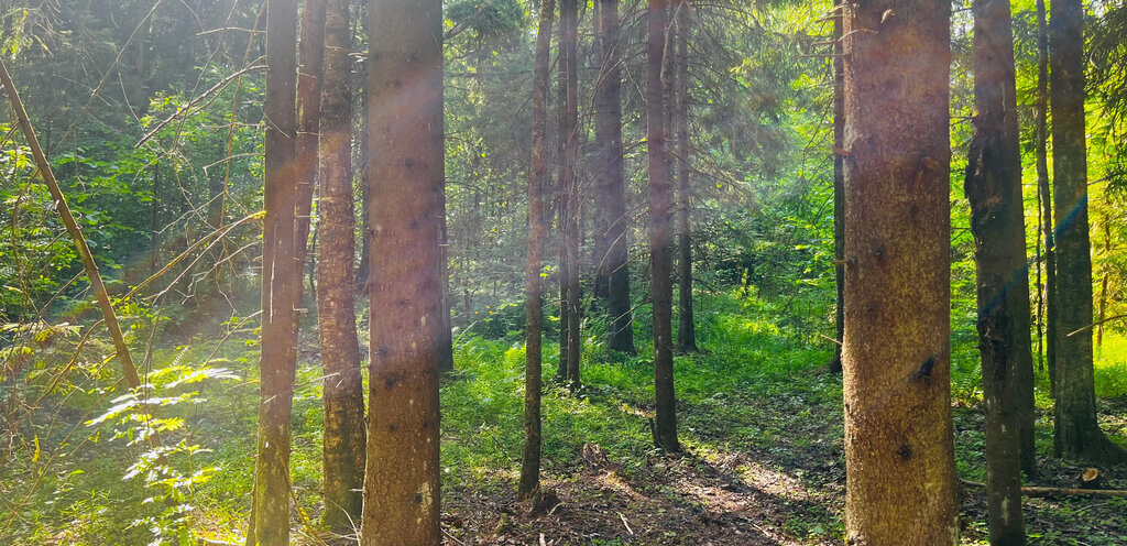 земля городской округ Дмитровский коттеджный посёлок Шустово, 107 фото 2