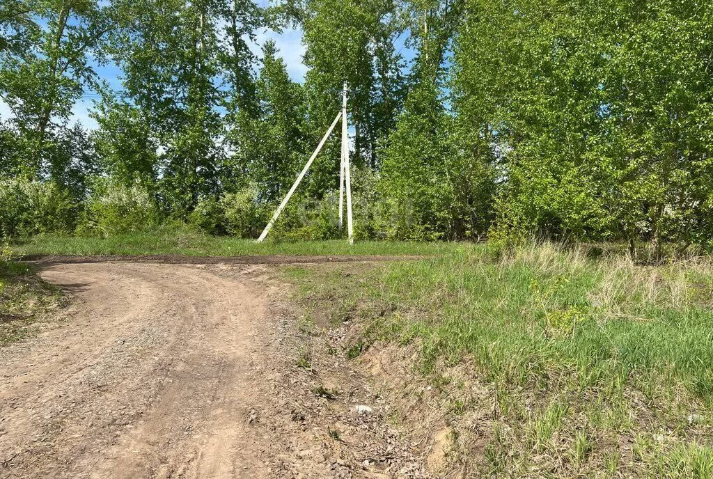 земля р-н Первомайский п Новый микрорайон Александрова слобода фото 2