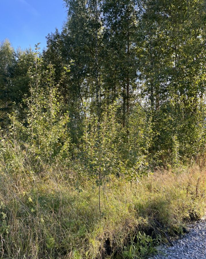 земля р-н Всеволожский снт тер.Островки-Пороги Московское шоссе, 16 км, Свердловское городское поселение, Отрадное фото 3