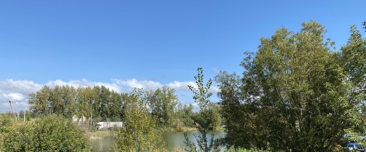 квартира г Красноярск р-н Ленинский ул Рязанская 31 фото 27
