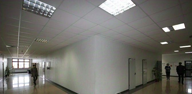 офис г Лысьва пр-кт Победы 40 фото 8