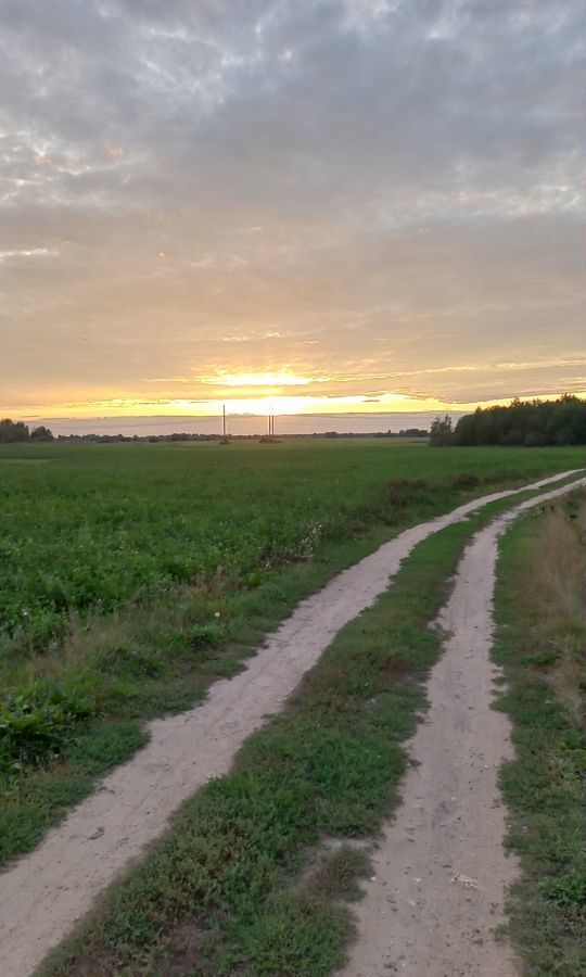 земля р-н Костромской с Саметь Шунгенское сельское поселение, Кострома фото 2