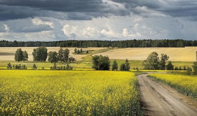 д Старая Тяга 109 км, Уваровка, Минское шоссе фото