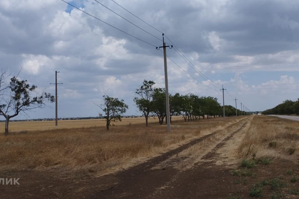 земля р-н Сакский село Молочное фото 1