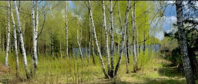 метро Подольск 68, г Бронницы, Оазис садовое товарищество фото