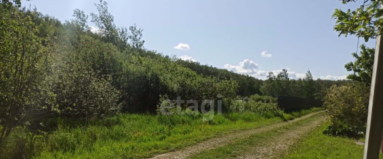 земля Коломна городской округ, Текстильщик-4 СНТ фото 9